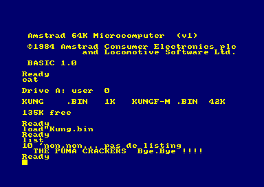 Kung-Fu Master (UK) (1986) (Trainer)_The Puma Crackers.rar